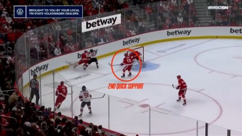 2nd Player Support Wins Puck Possession for Red Wings