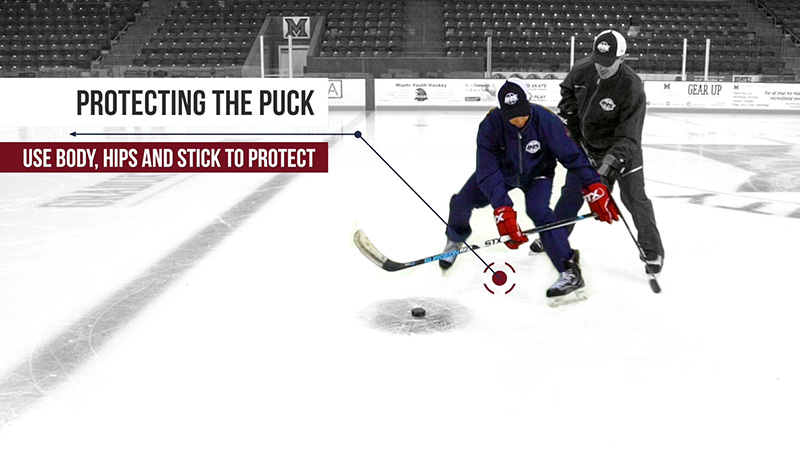 Protecting the puck demonstration