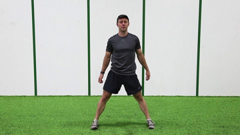 Lateral Squat and Leg Lift